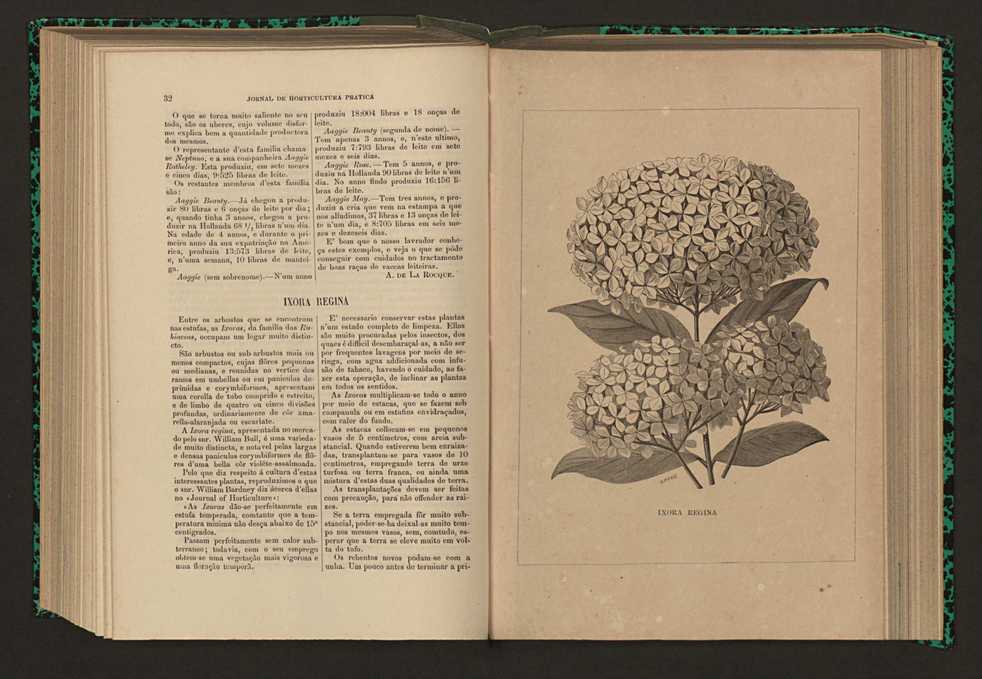 Jornal de horticultura prtica XVII 28