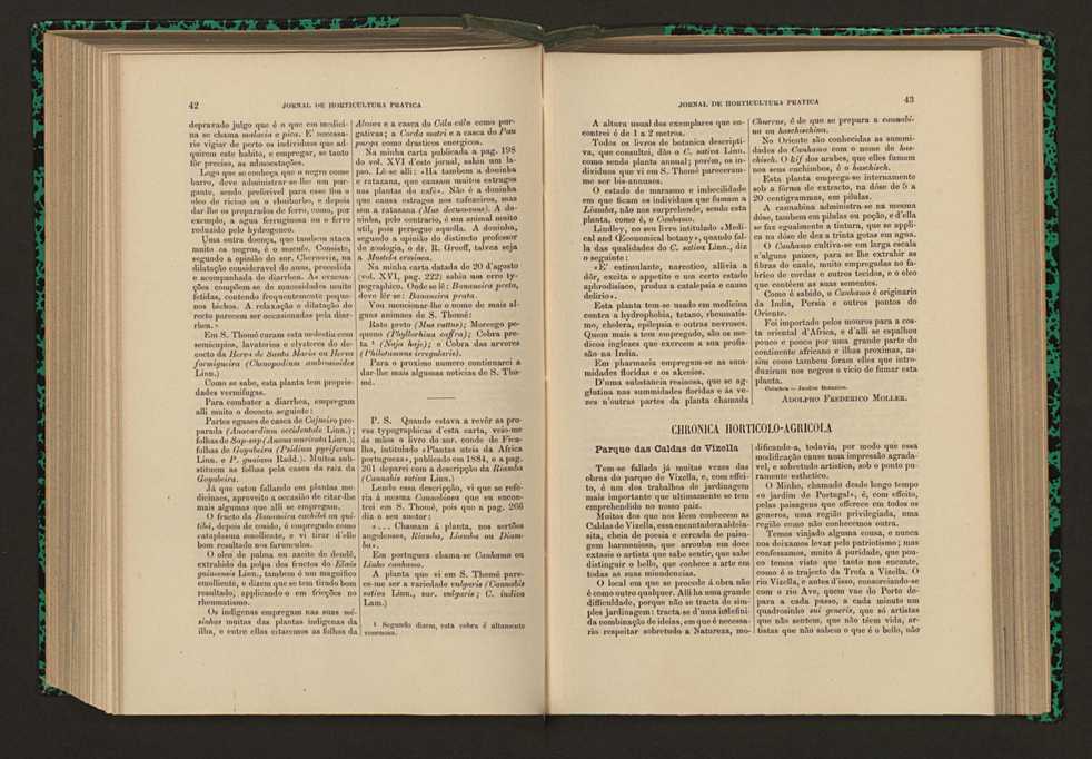 Jornal de horticultura prtica XVII 34