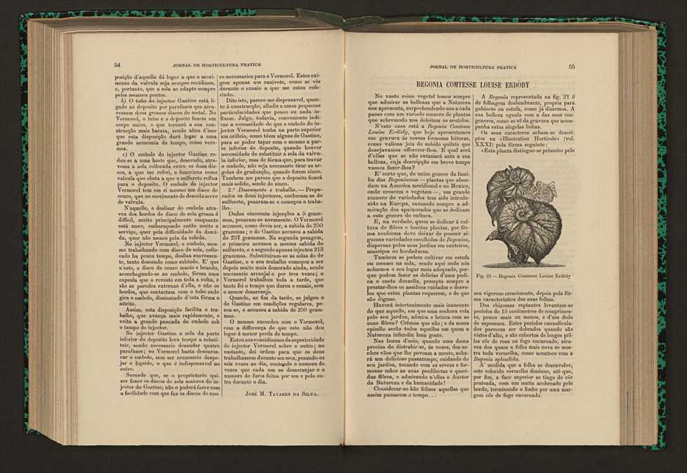 Jornal de horticultura prtica XVII 40