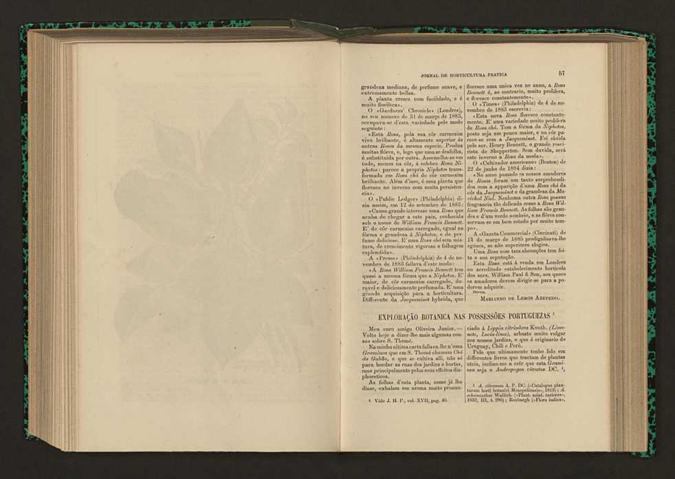 Jornal de horticultura prtica XVII 42
