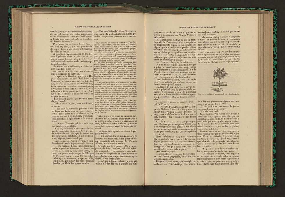 Jornal de horticultura prtica XVII 49