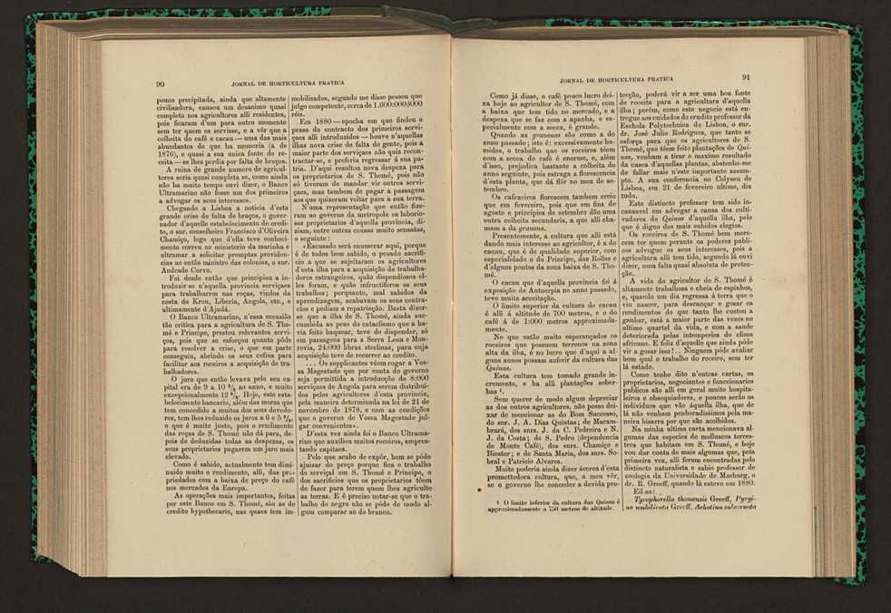 Jornal de horticultura prtica XVII 60