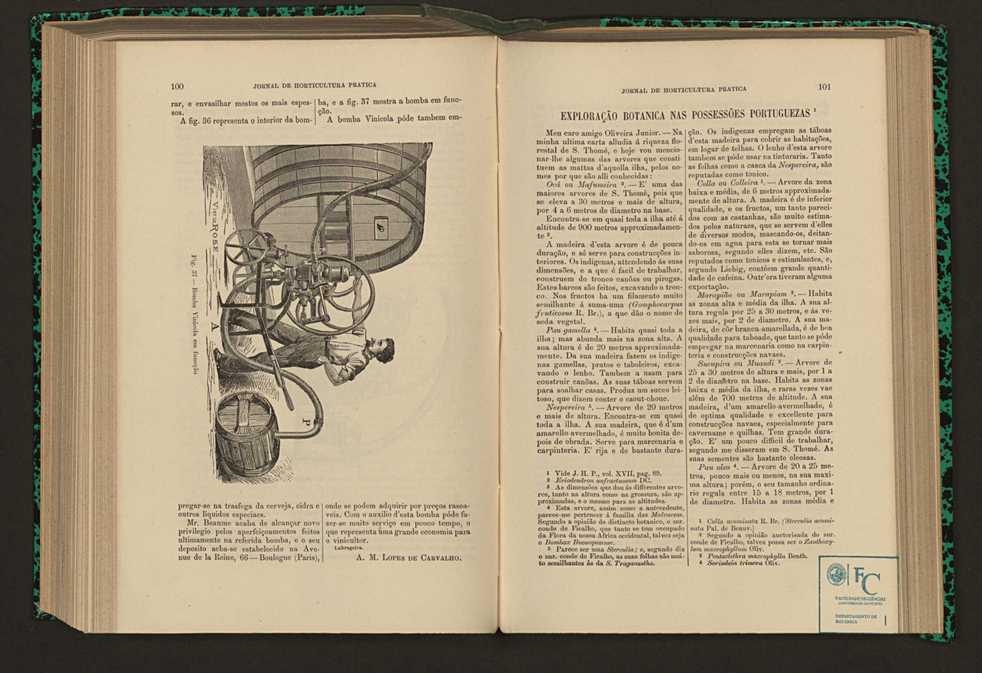 Jornal de horticultura prtica XVII 65