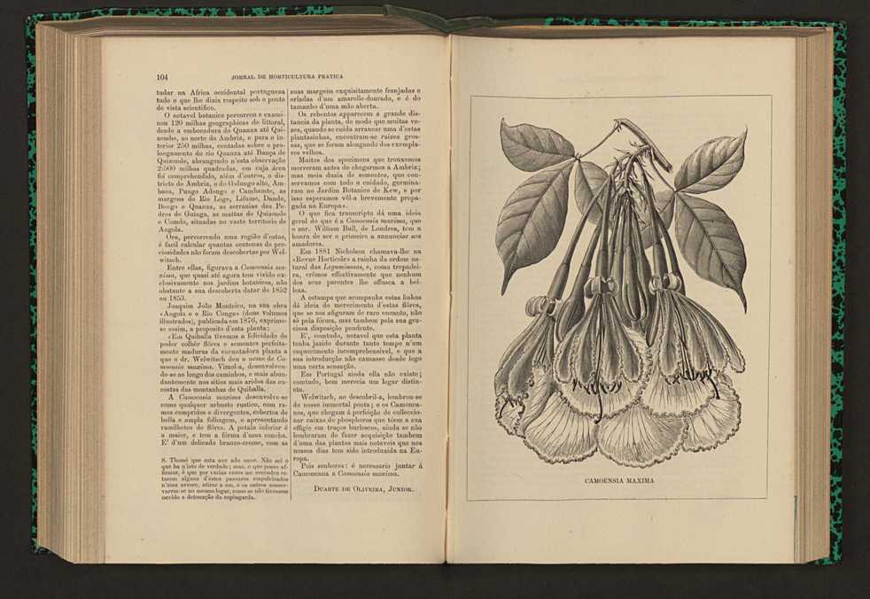 Jornal de horticultura prtica XVII 67