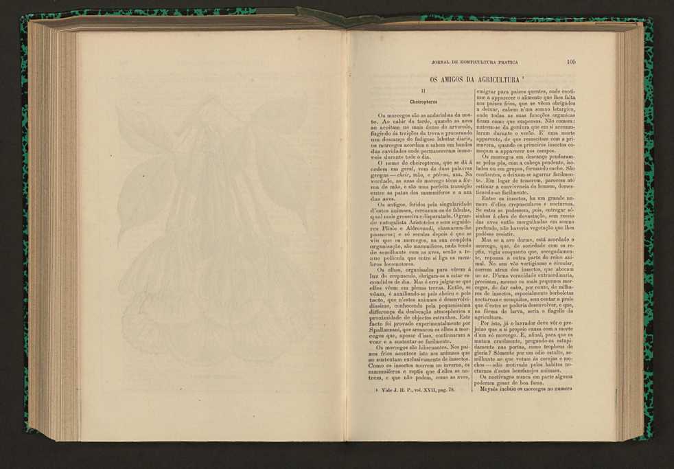 Jornal de horticultura prtica XVII 68