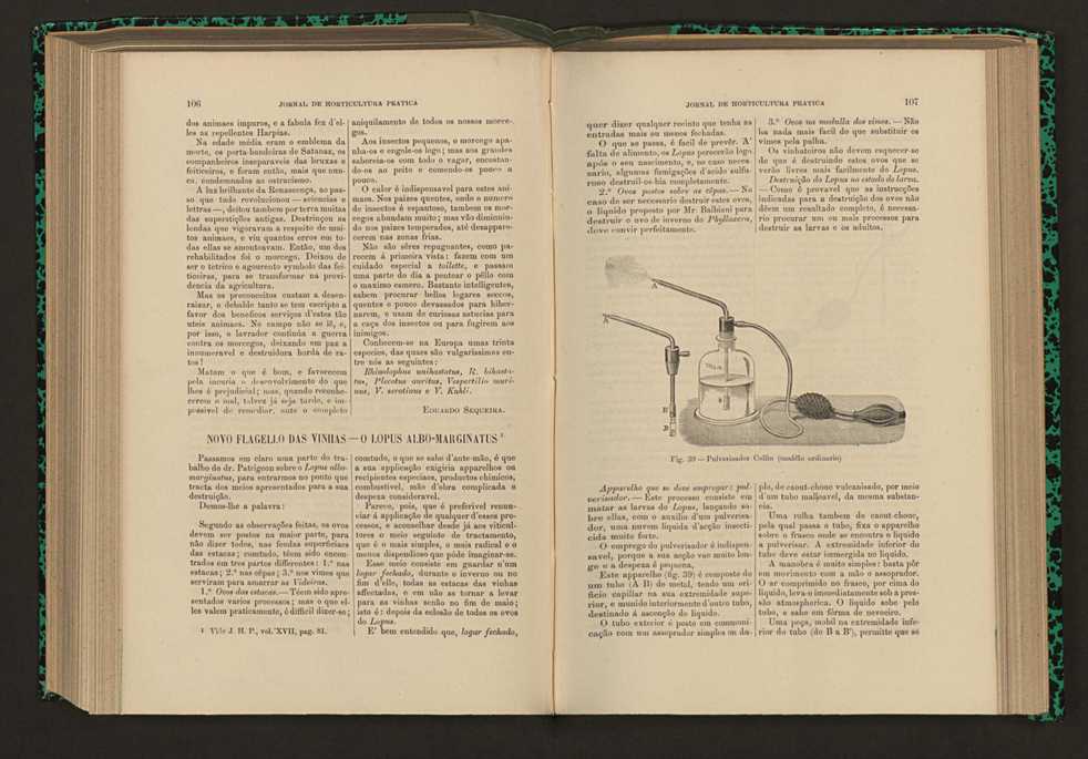 Jornal de horticultura prtica XVII 69