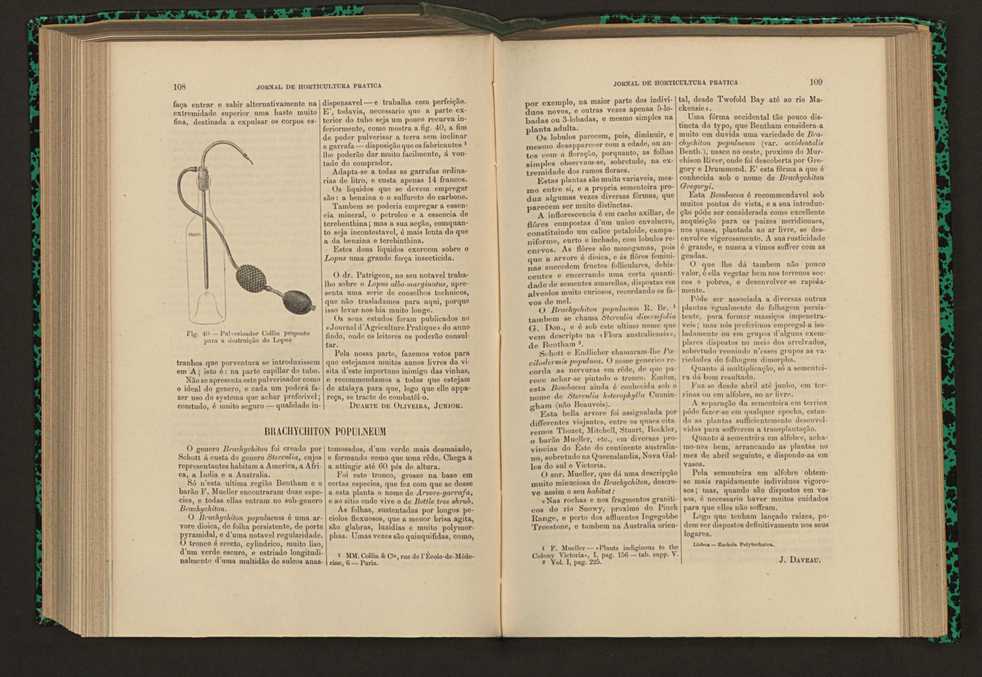 Jornal de horticultura prtica XVII 70