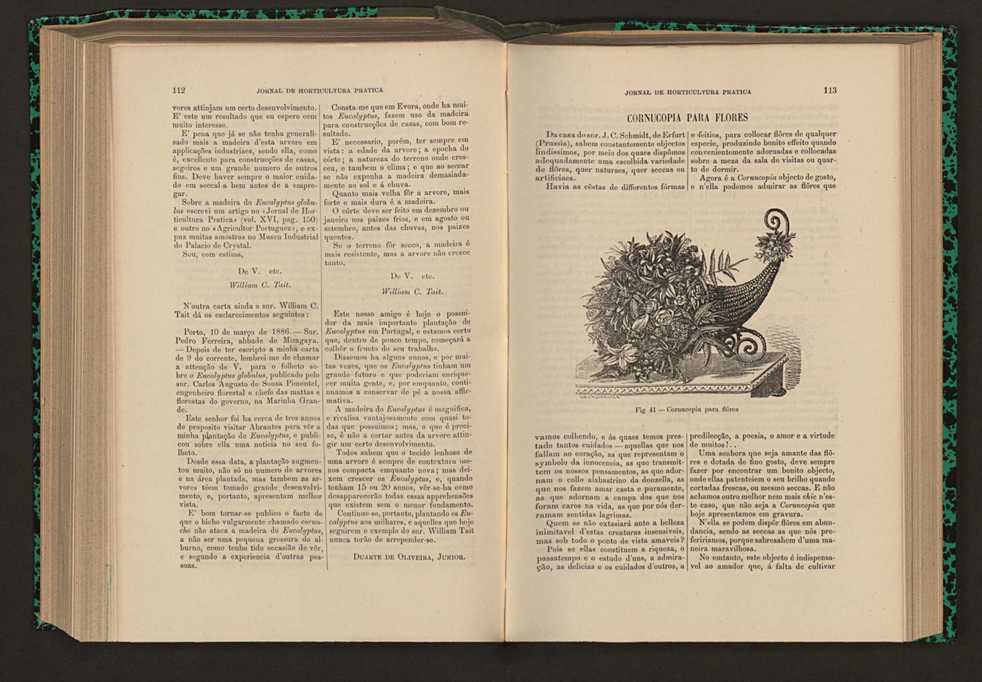 Jornal de horticultura prtica XVII 72