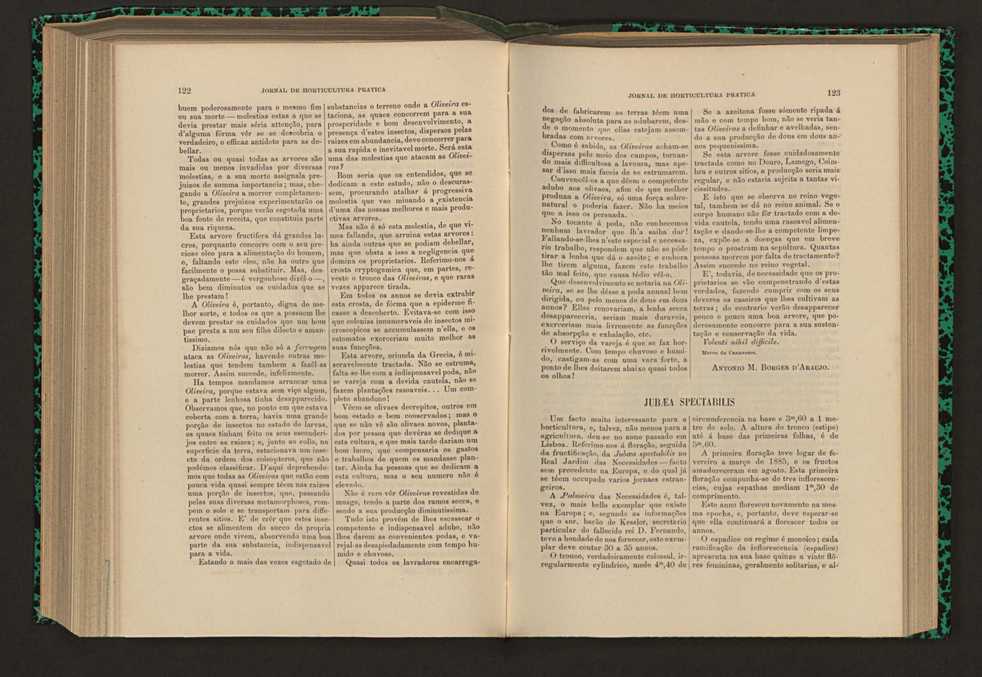 Jornal de horticultura prtica XVII 77