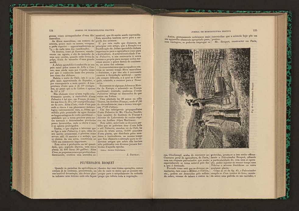 Jornal de horticultura prtica XVII 78