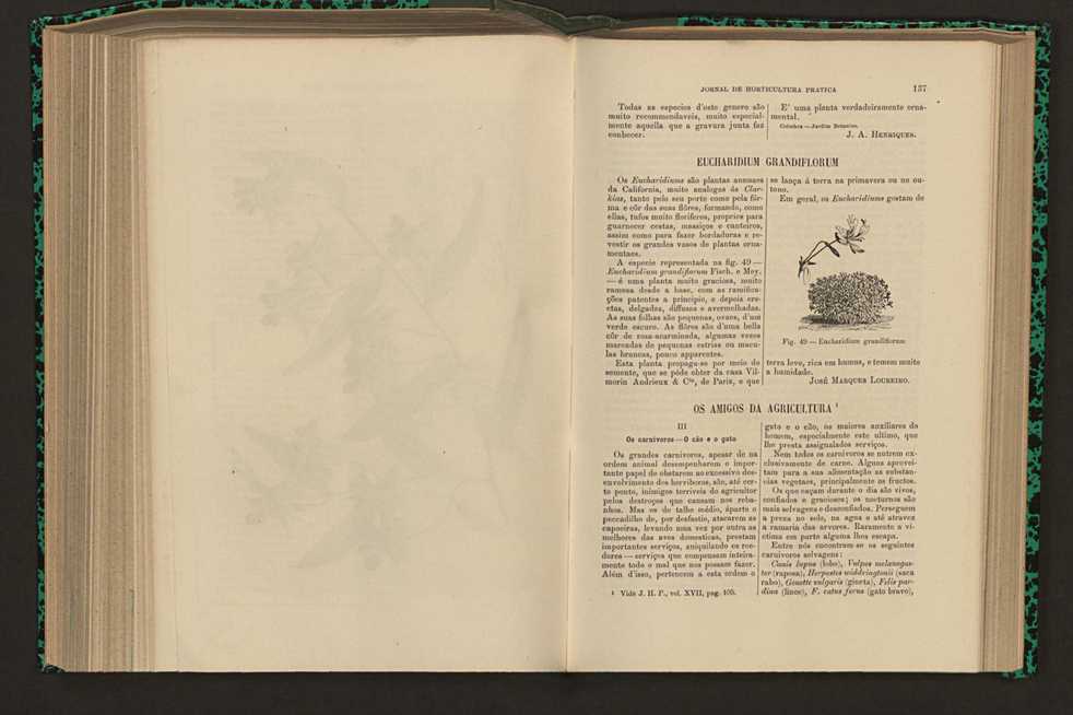Jornal de horticultura pr�tica XVII 87