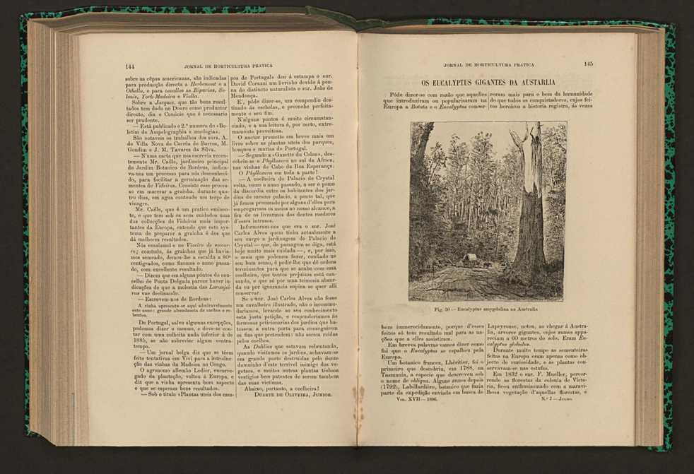 Jornal de horticultura prtica XVII 91