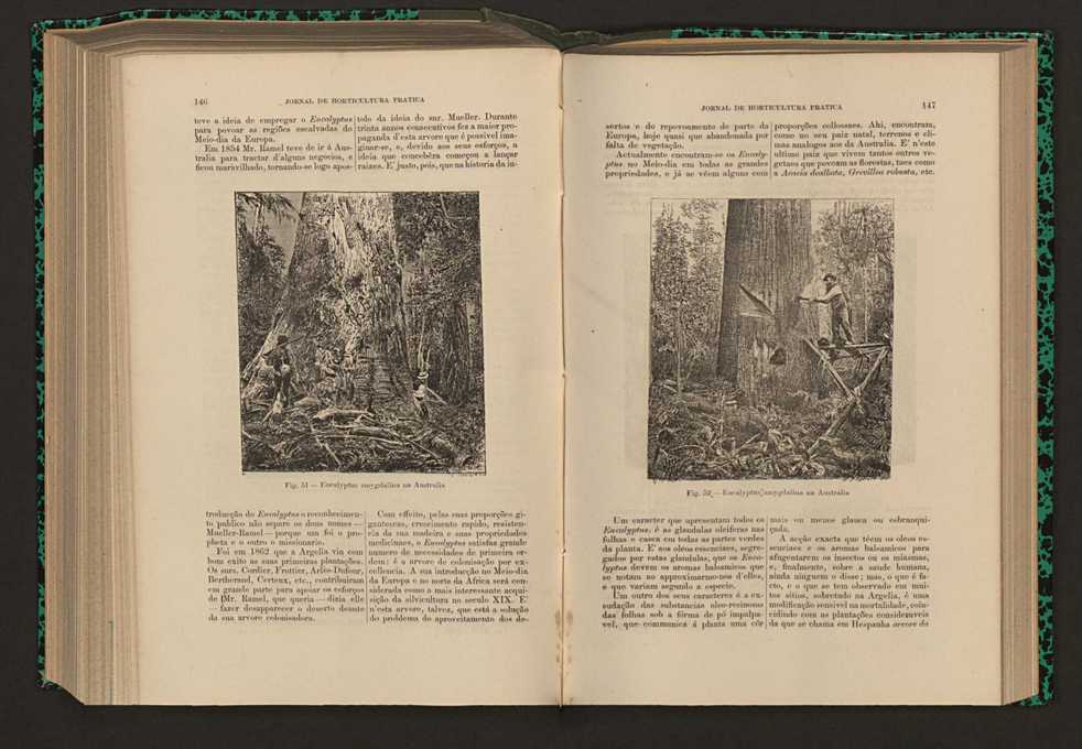 Jornal de horticultura pr�tica XVII 92