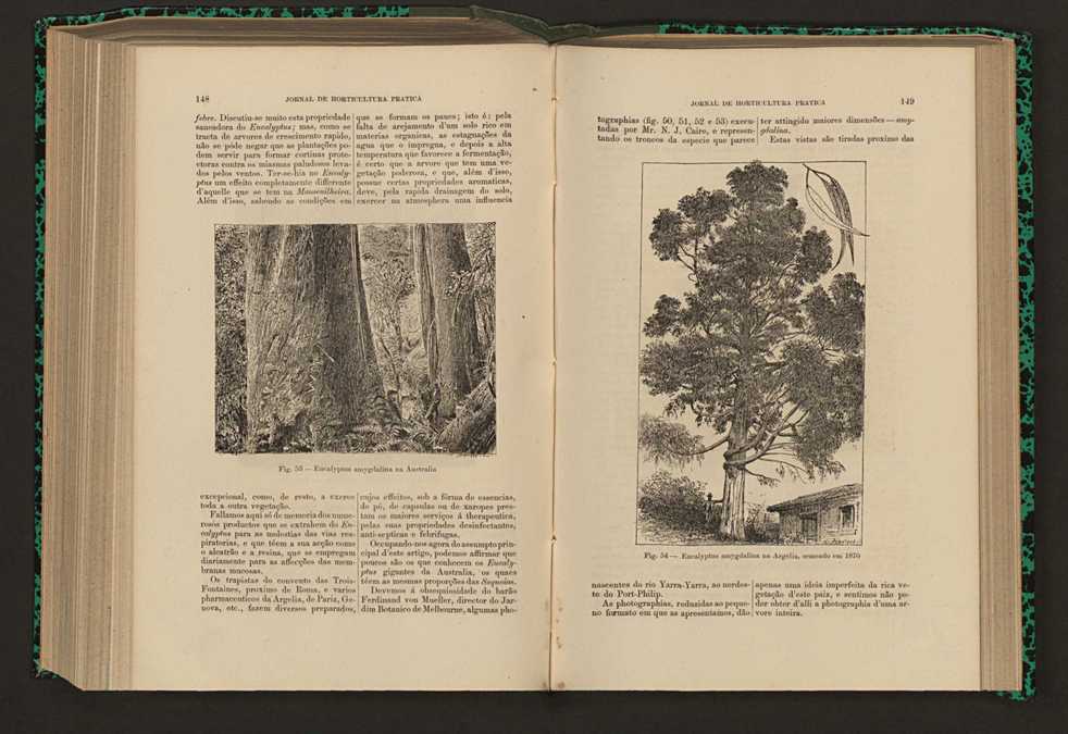 Jornal de horticultura prtica XVII 93