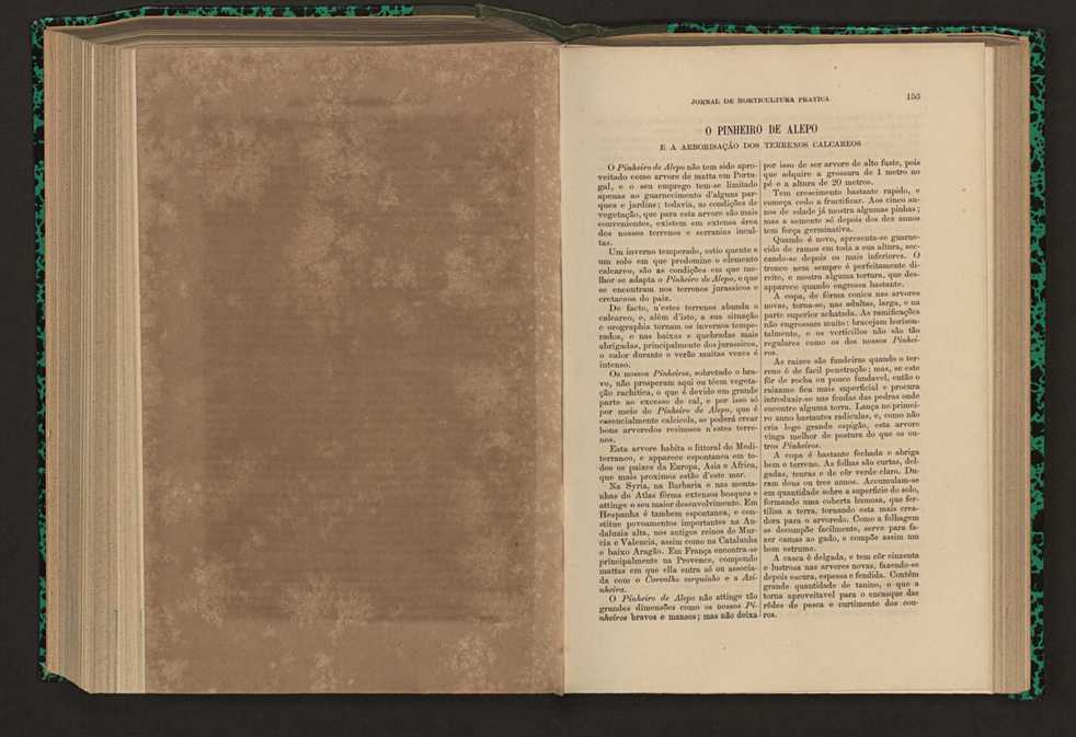 Jornal de horticultura prtica XVII 96