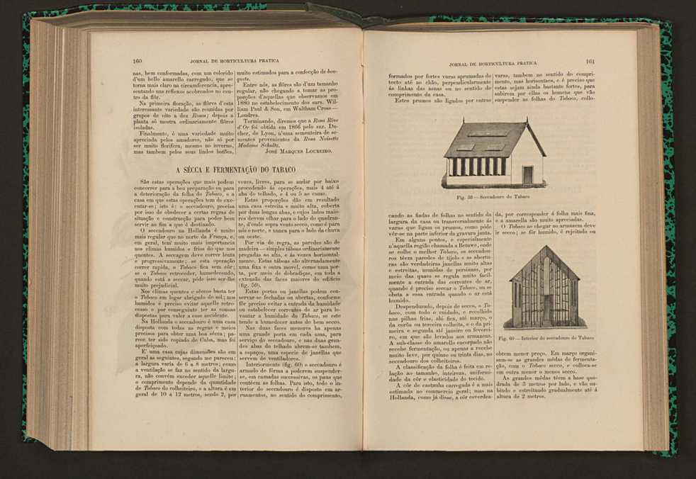 Jornal de horticultura prtica XVII 100