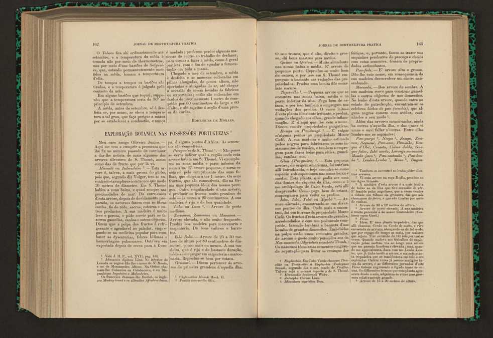 Jornal de horticultura prtica XVII 101