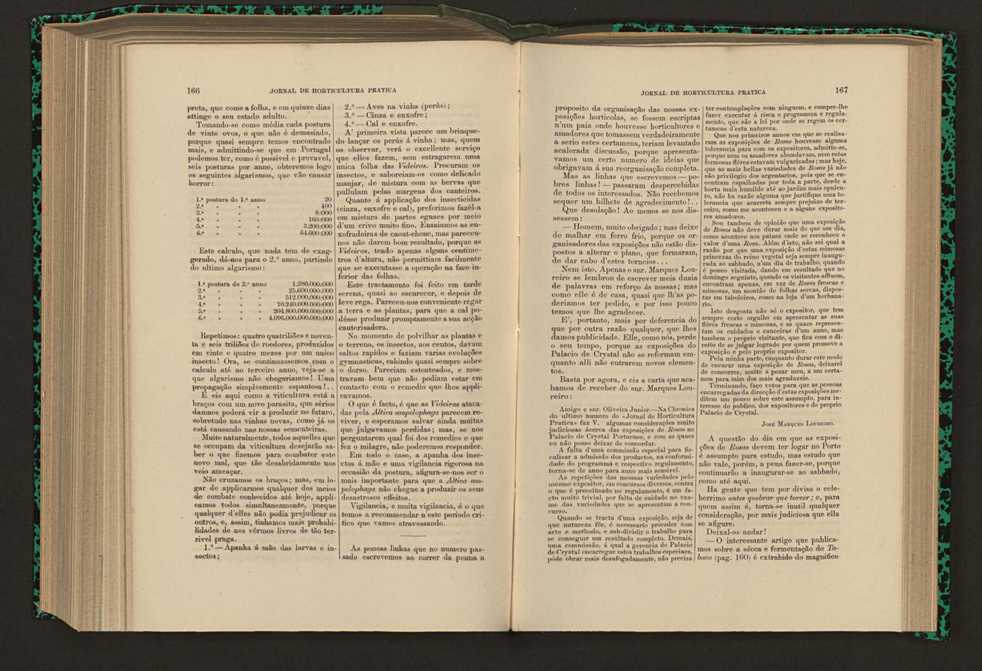 Jornal de horticultura prtica XVII 103