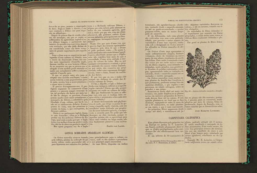 Jornal de horticultura prtica XVII 107