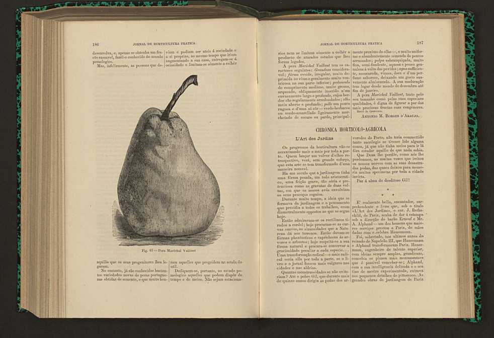 Jornal de horticultura prtica XVII 115