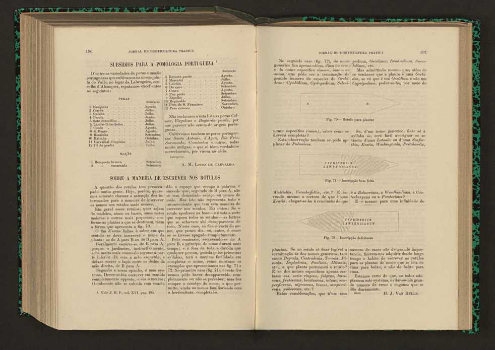 Jornal de horticultura prtica XVII 120