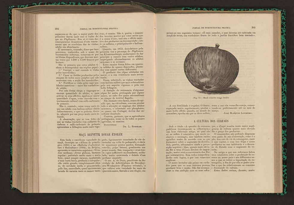 Jornal de horticultura prtica XVII 125