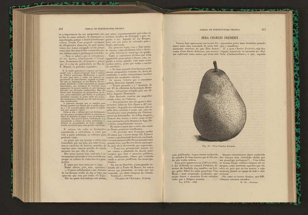 Jornal de horticultura prtica XVII 131