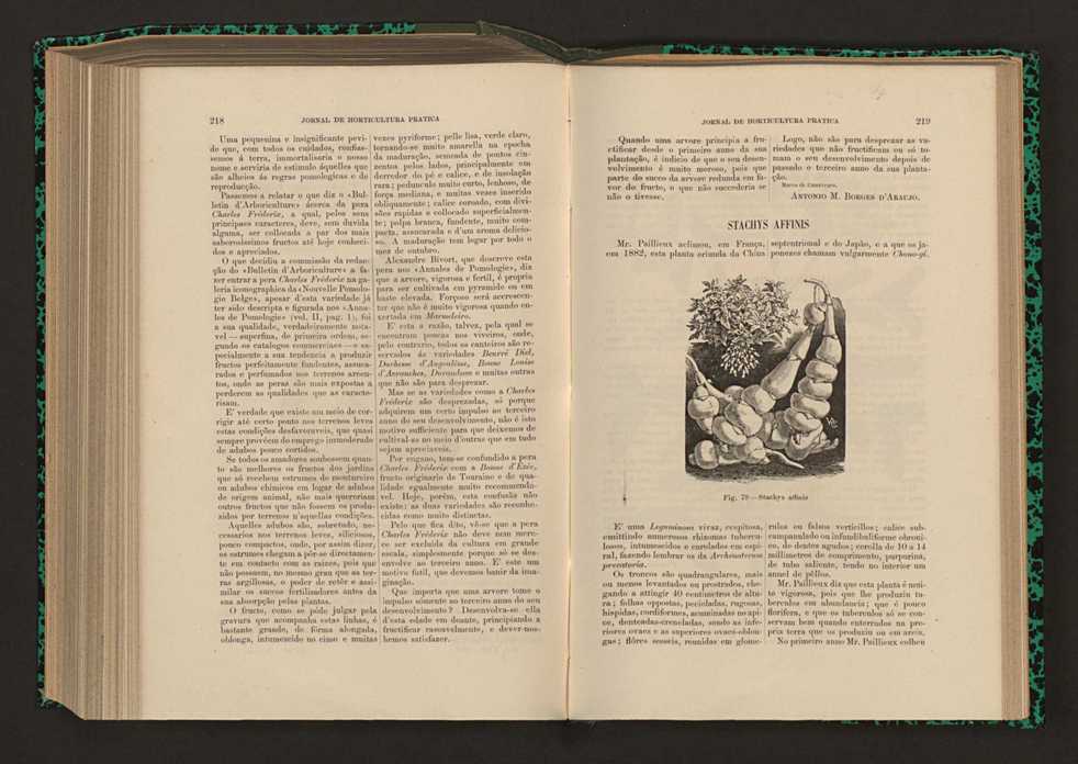 Jornal de horticultura prtica XVII 132