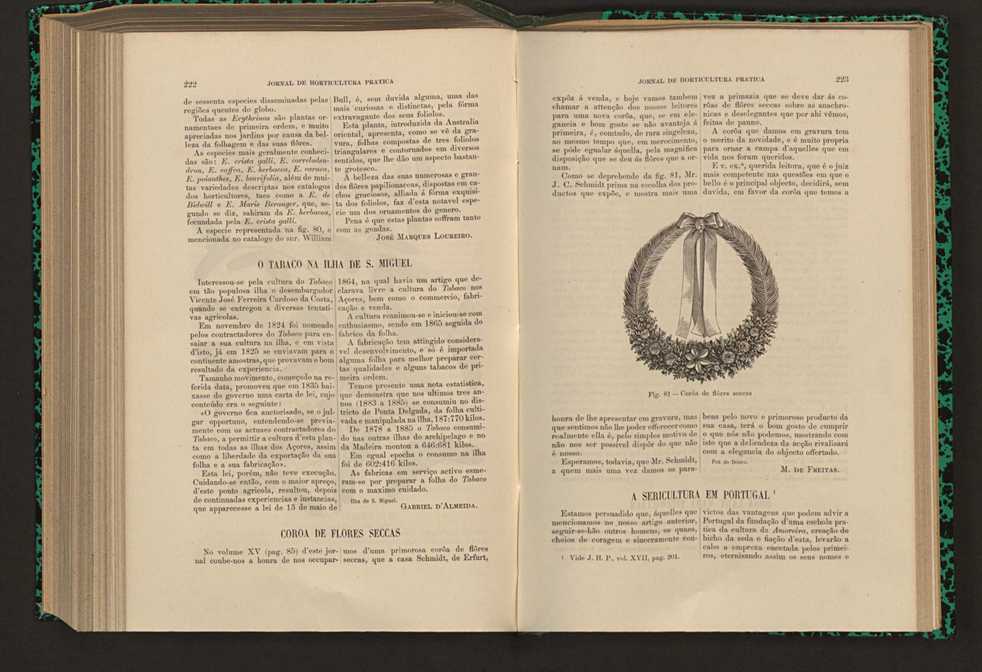 Jornal de horticultura pr�tica XVII 134