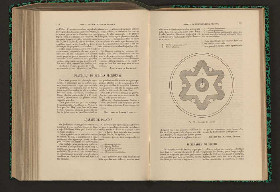 Jornal de horticultura prtica XVII 139