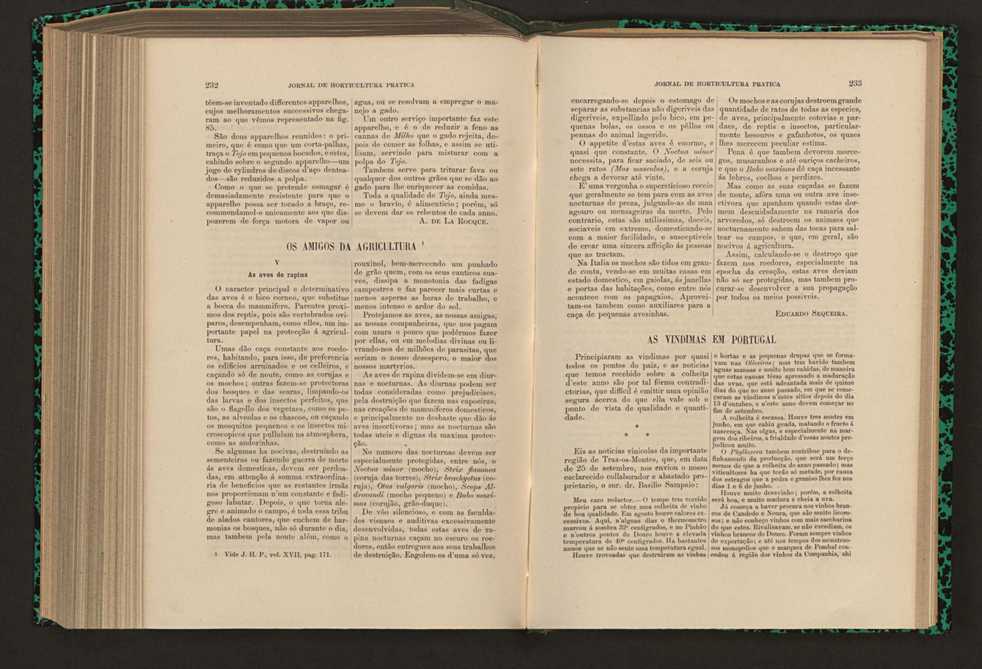 Jornal de horticultura prtica XVII 140