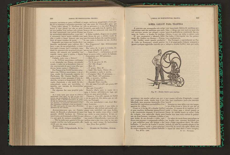 Jornal de horticultura prtica XVII 144