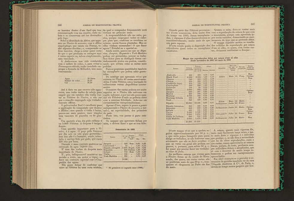 Jornal de horticultura prtica XVII 147