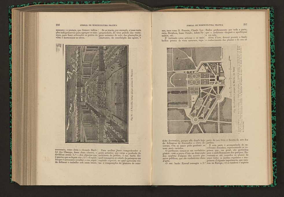 Jornal de horticultura prtica XVII 152