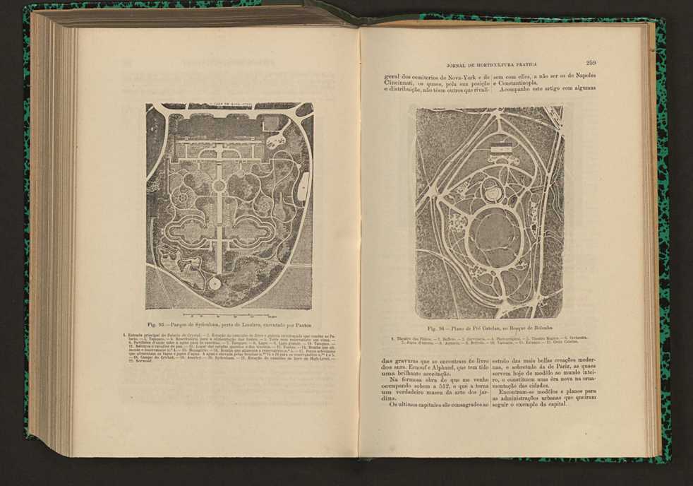 Jornal de horticultura prtica XVII 153