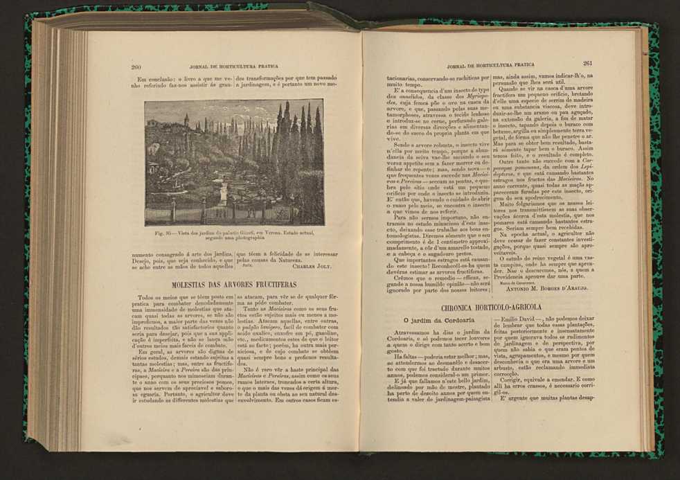 Jornal de horticultura prtica XVII 154