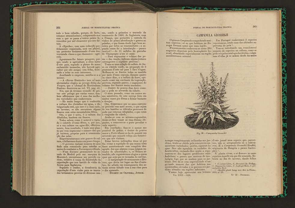 Jornal de horticultura prtica XVII 156