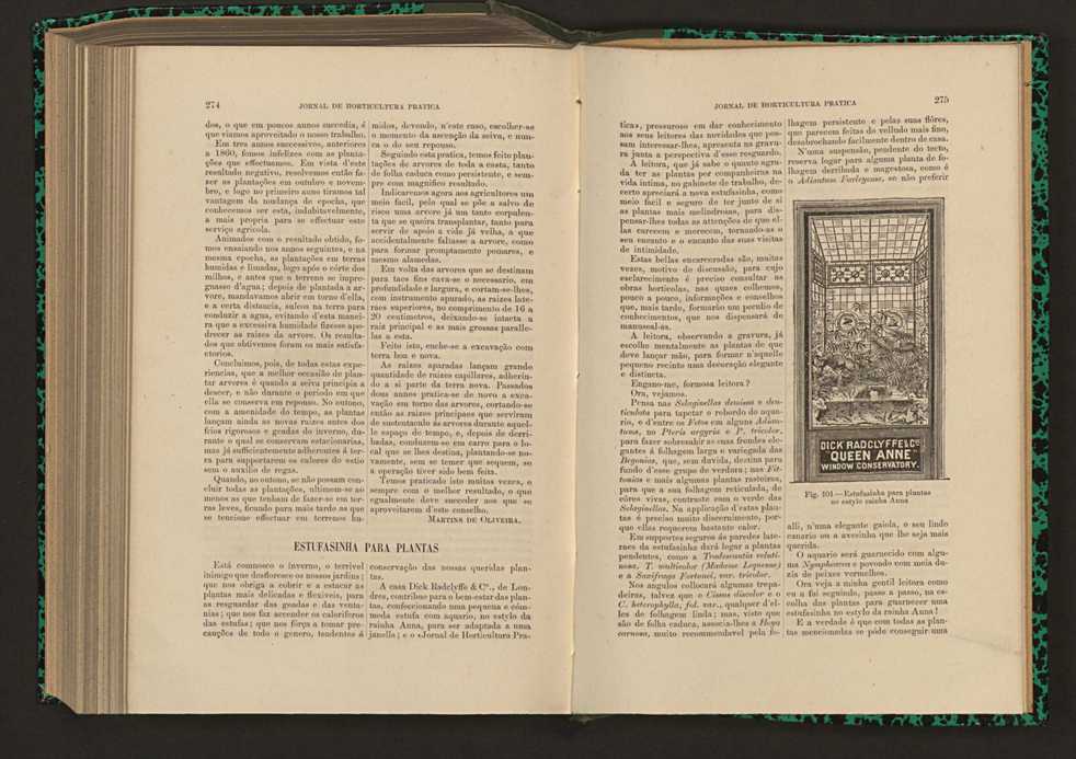 Jornal de horticultura pr�tica XVII 161