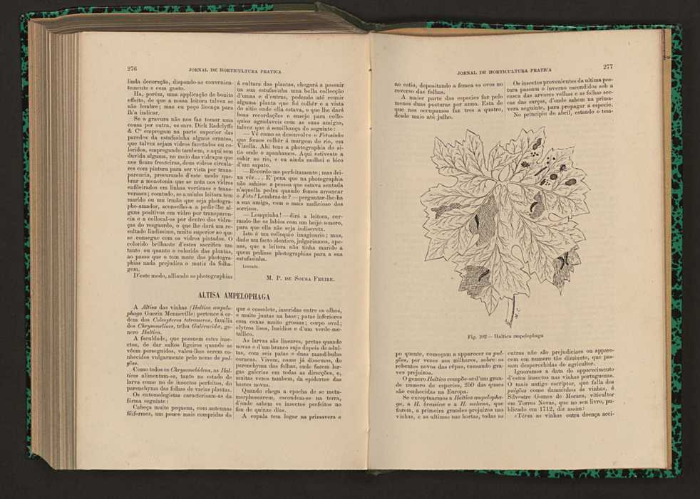 Jornal de horticultura prtica XVII 162