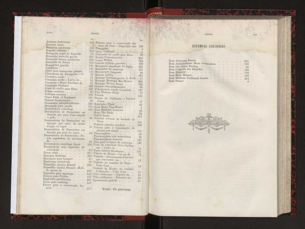 Jornal de horticultura prtica XVIII 13