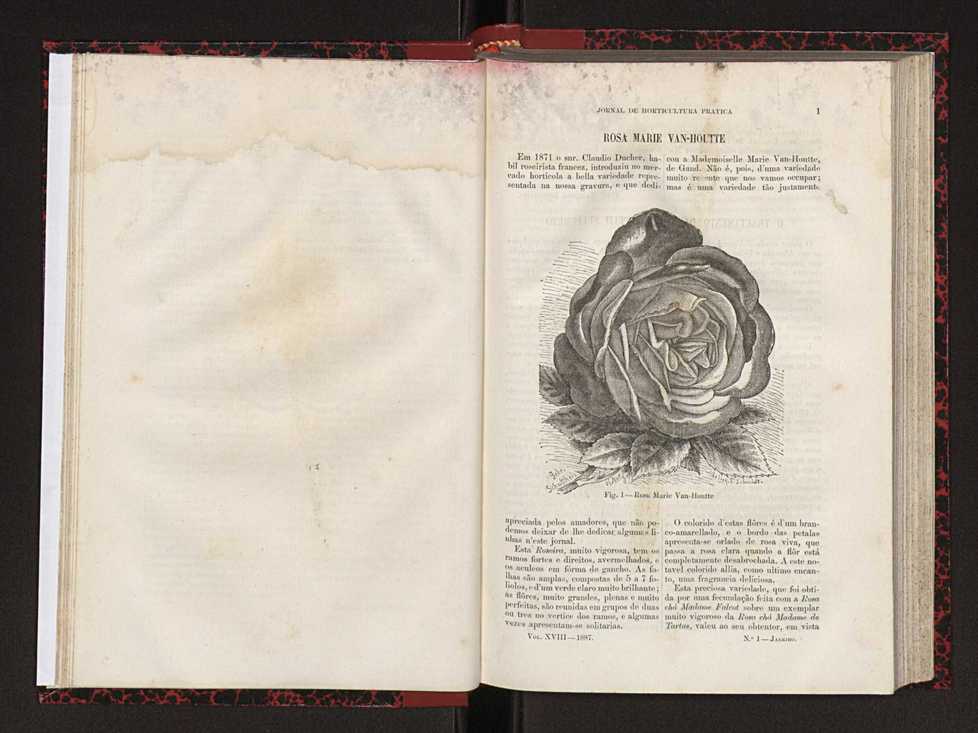 Jornal de horticultura pr�tica XVIII 14