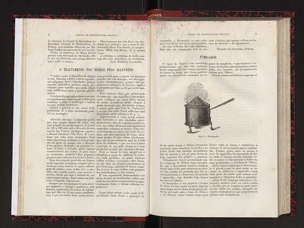 Jornal de horticultura prtica XVIII 15