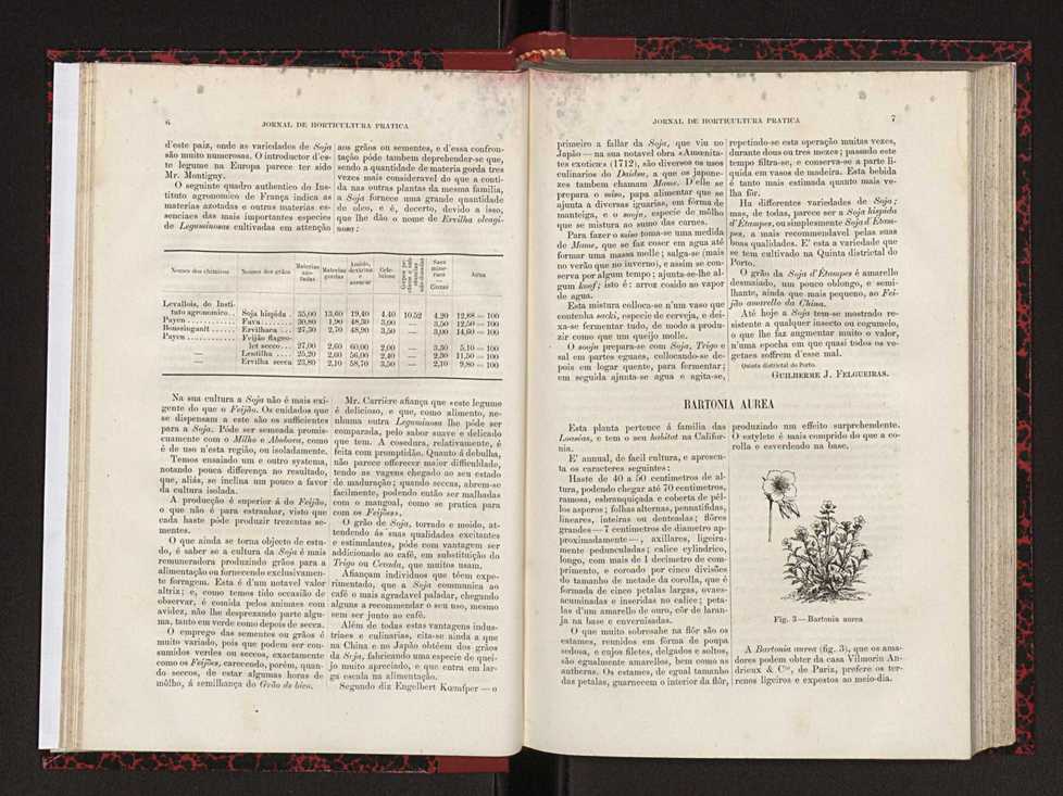 Jornal de horticultura prtica XVIII 17