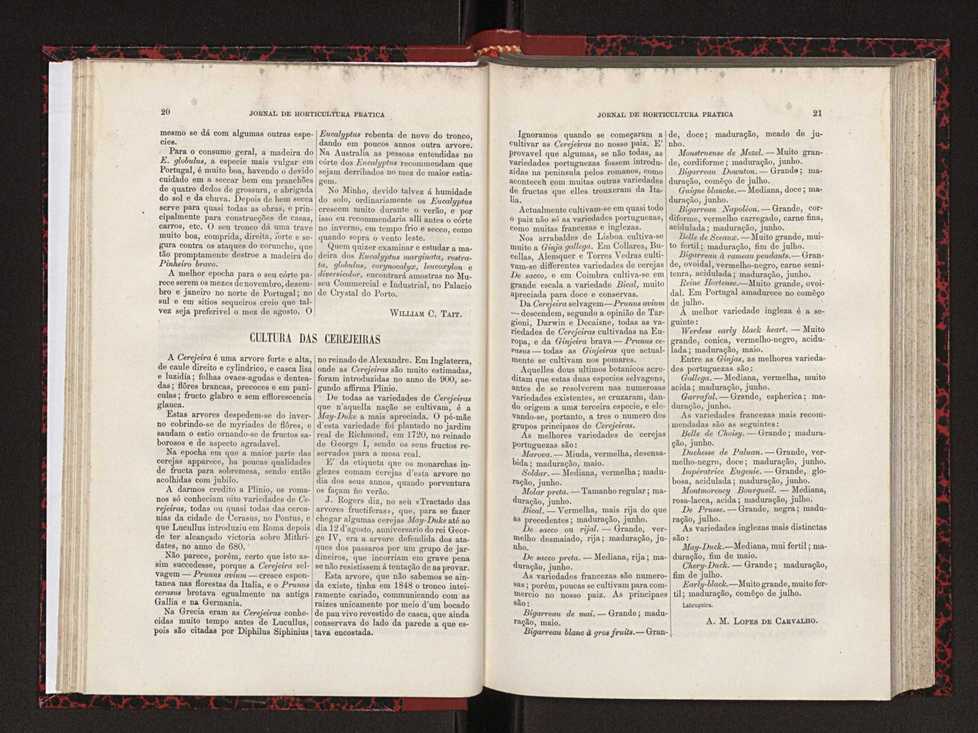 Jornal de horticultura prtica XVIII 24