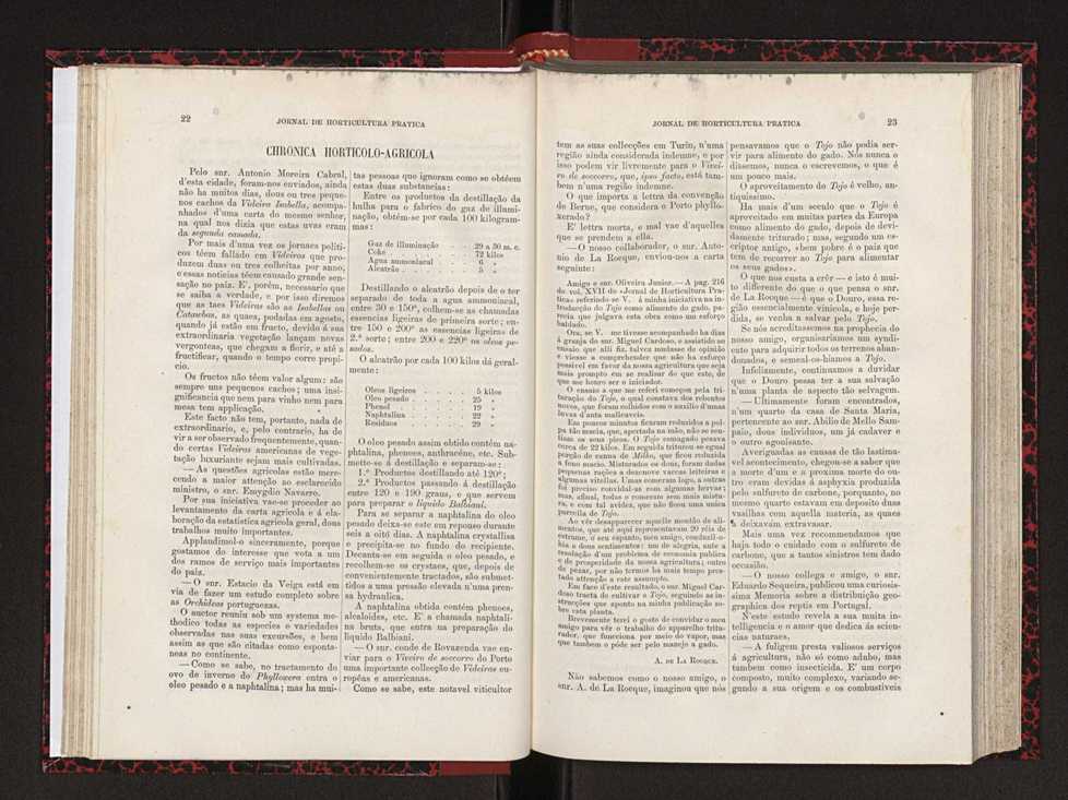 Jornal de horticultura prtica XVIII 25