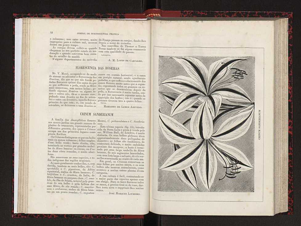 Jornal de horticultura prtica XVIII 30