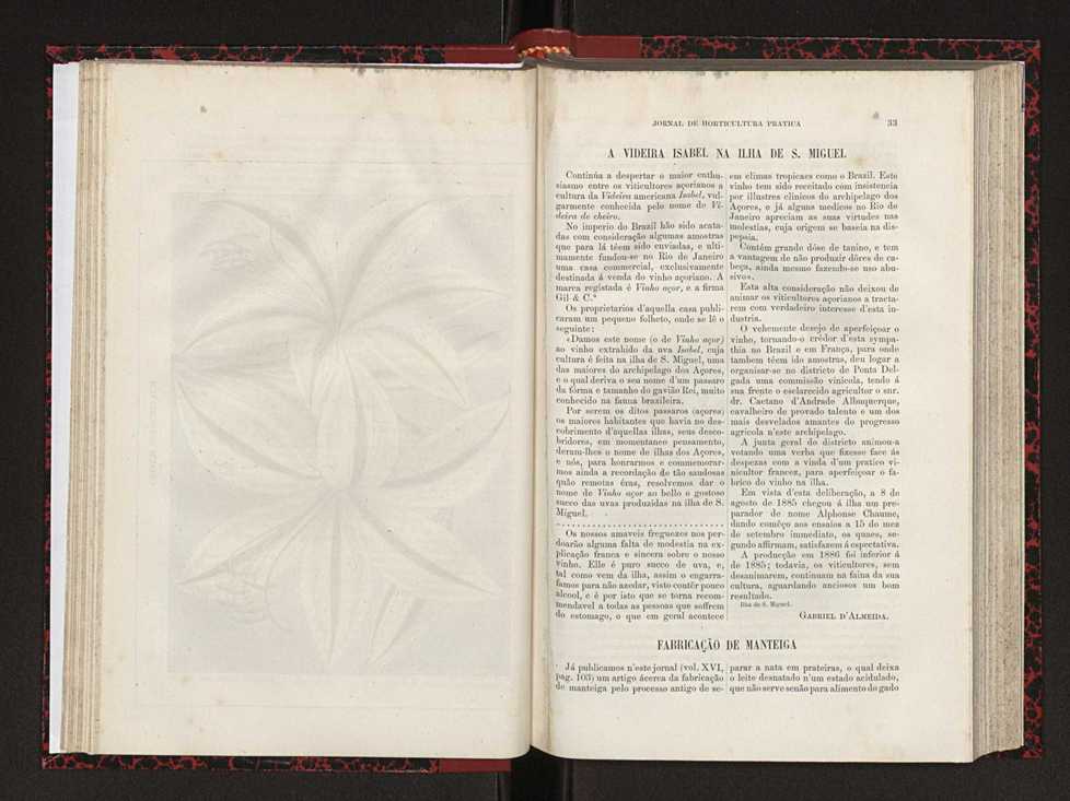 Jornal de horticultura prtica XVIII 31