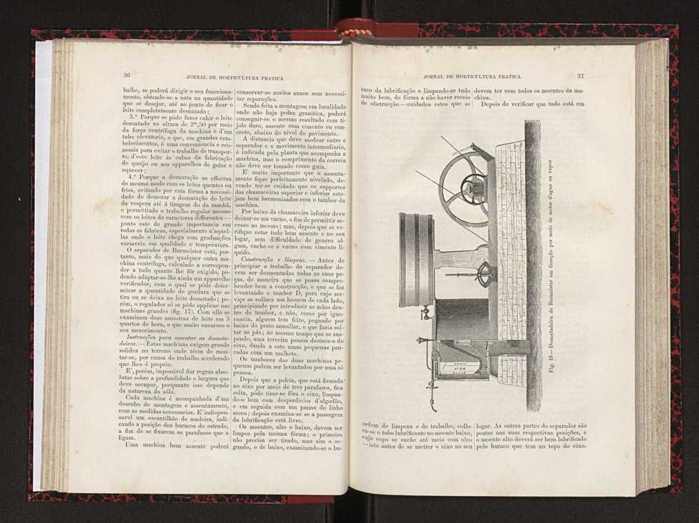Jornal de horticultura prtica XVIII 33