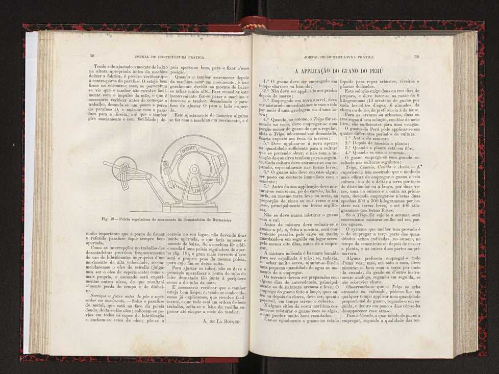 Jornal de horticultura prtica XVIII 34