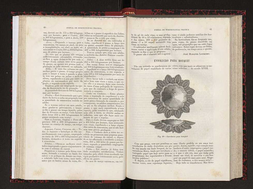 Jornal de horticultura prtica XVIII 35